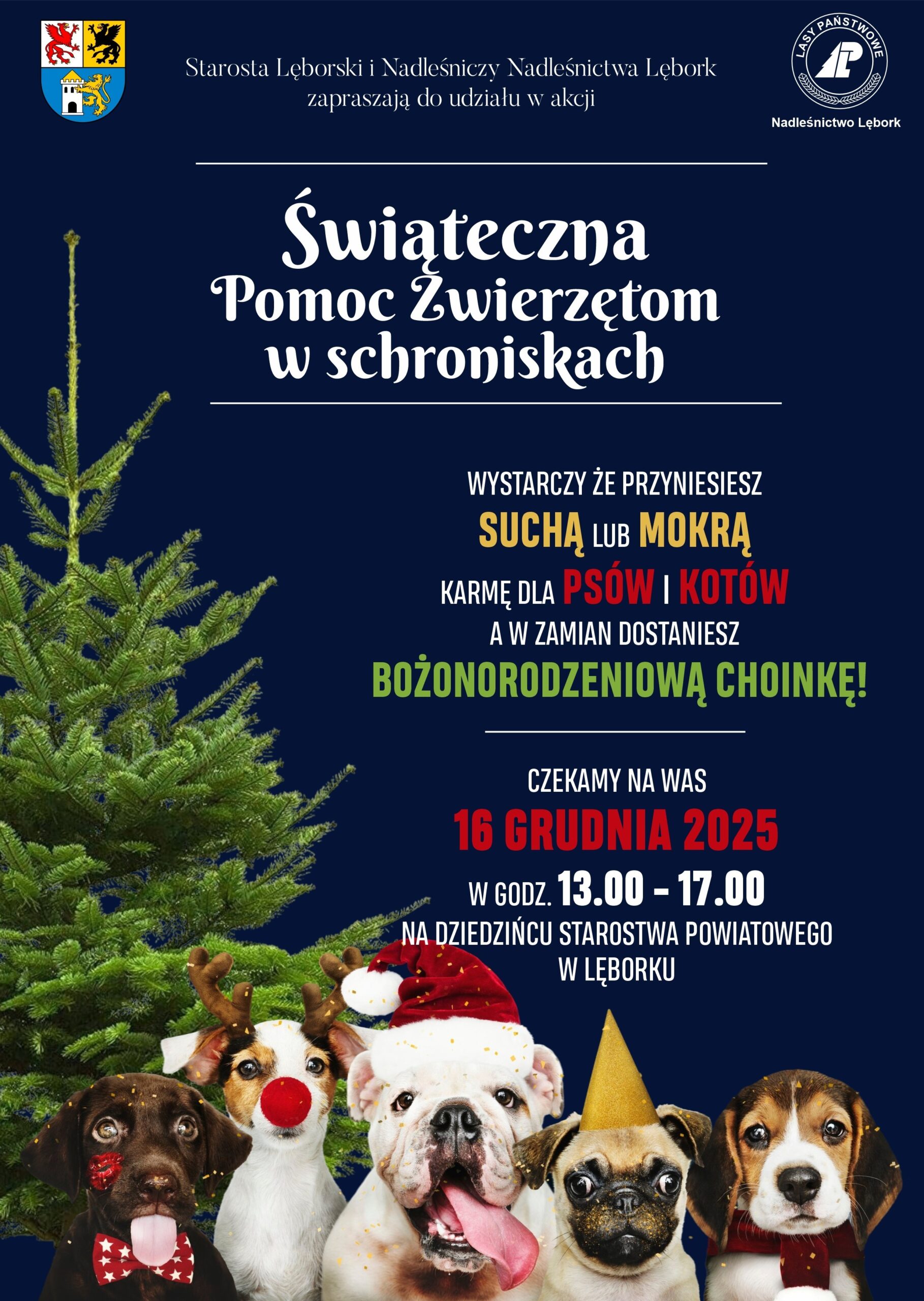 Plakat akcji Świąteczna Pomoc Zwierzętom w schroniskach – Lębork, 16 grudnia 2025. Choinka za karmę dla psów i kotów. Organizatorzy: Starostwo Powiatowe i Nadleśnictwo Lębork.